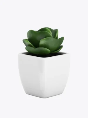 product-image-9_optimized Sollicitudin Aliquam