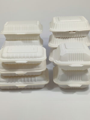 Biodegradable food container
