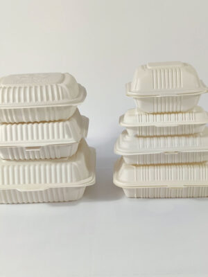 biodegradable food container