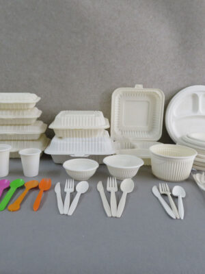 Compostable lunch box