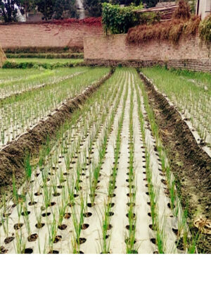 PLA agricultuure film