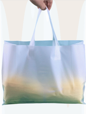 biodegradable shopping bag